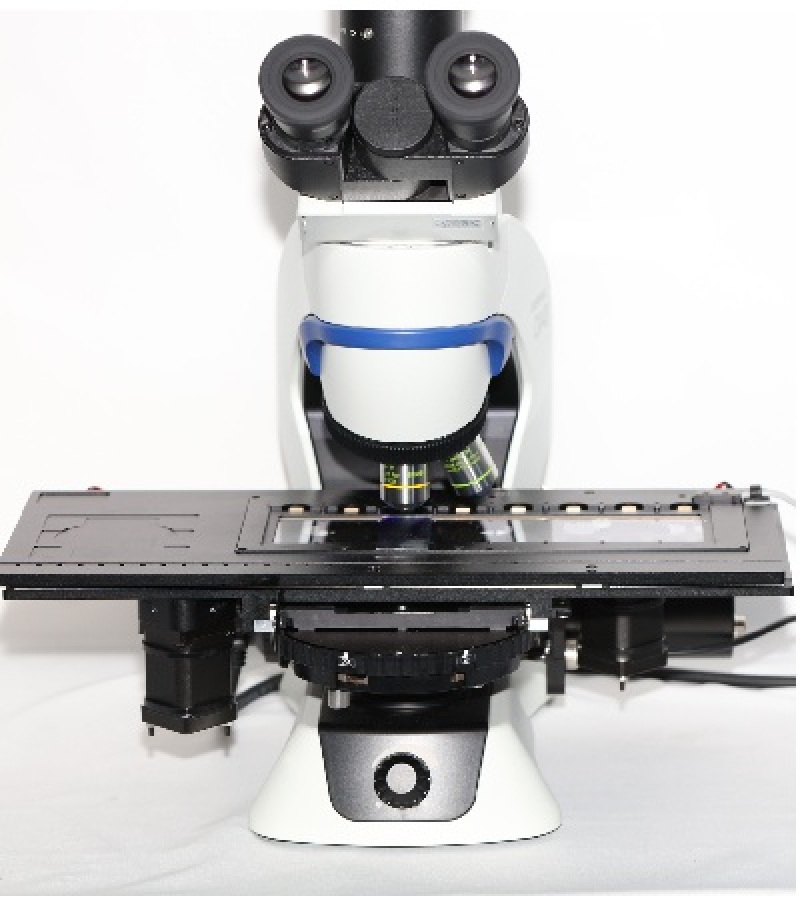 Motorized Stage Integration for a Fully Automated Sperm Analysis System